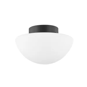 Andrea One Light Flush Mount