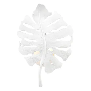 Aruba TWP One Light Wall Sconce