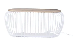 Cage Floor Lamp