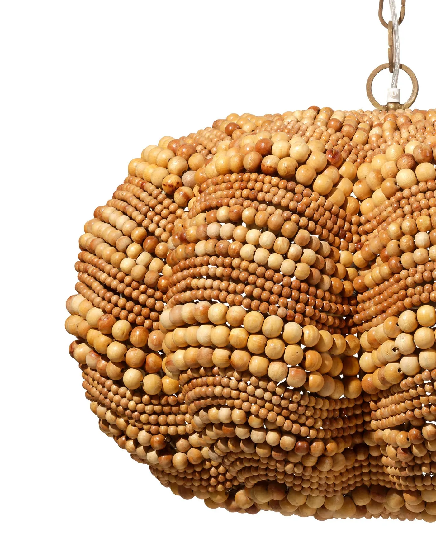 Clamshell Chandelier