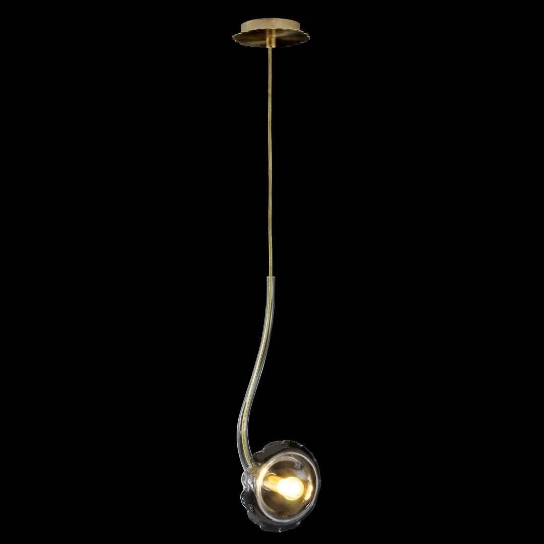Clear Glass Flower Ceiling Pendant With Brass Frame