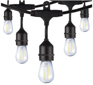 Commercial Grade LED string lights 120v 12 lamp IP65 Rated