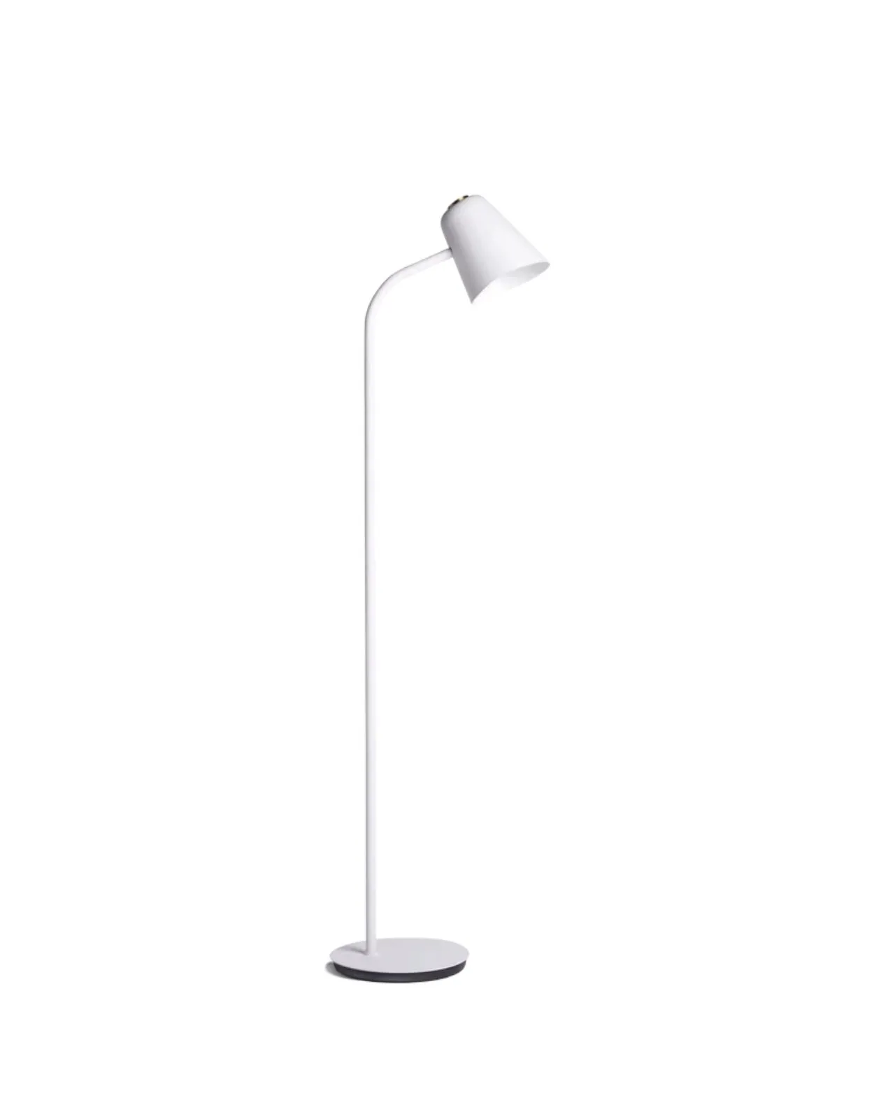Contemporary Funky Floor Lamp