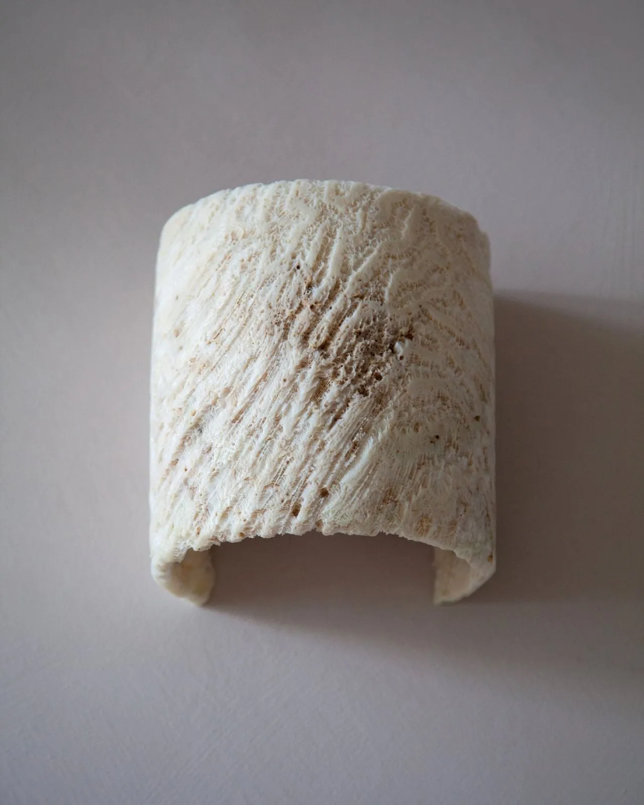 Fossil Coral Tube Flush Wall Sconce