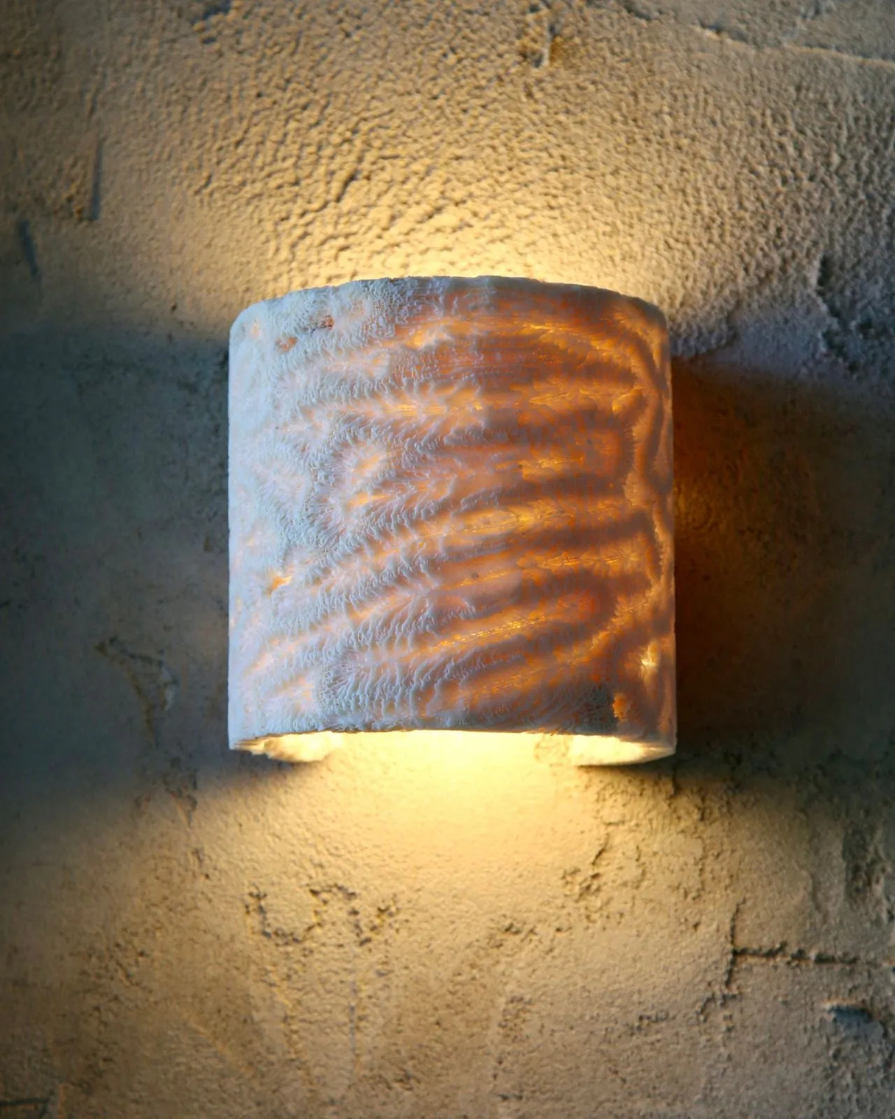 Fossil Coral Tube Flush Wall Sconce