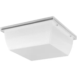 Hard Nox Collection 12" Square Flush Mount Light
