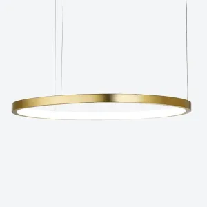 HOOP LED 22 x 36 CUSTOM PENDANT
