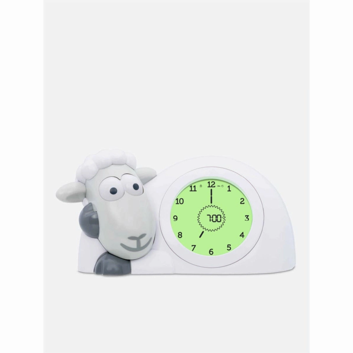 Sleep Trainer Sam