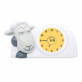 Sleep Trainer Sam