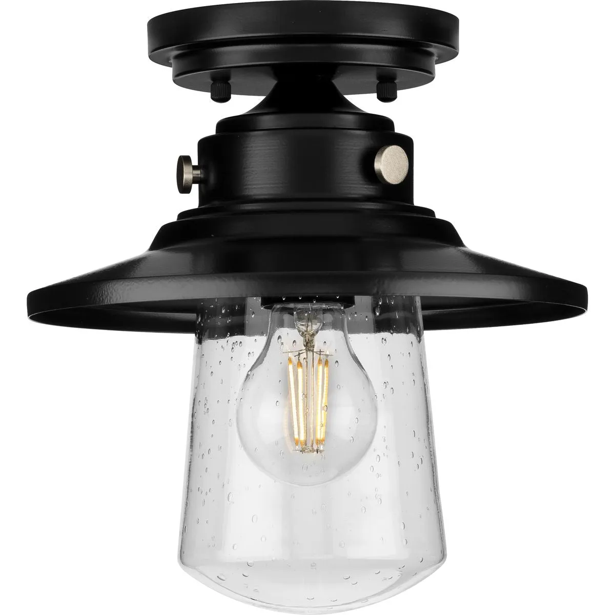 Tremont Collection One-Light Clear Seeded Glass Ceiling Light